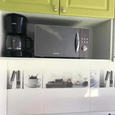 Apartment Green Loft Piatra Neamt